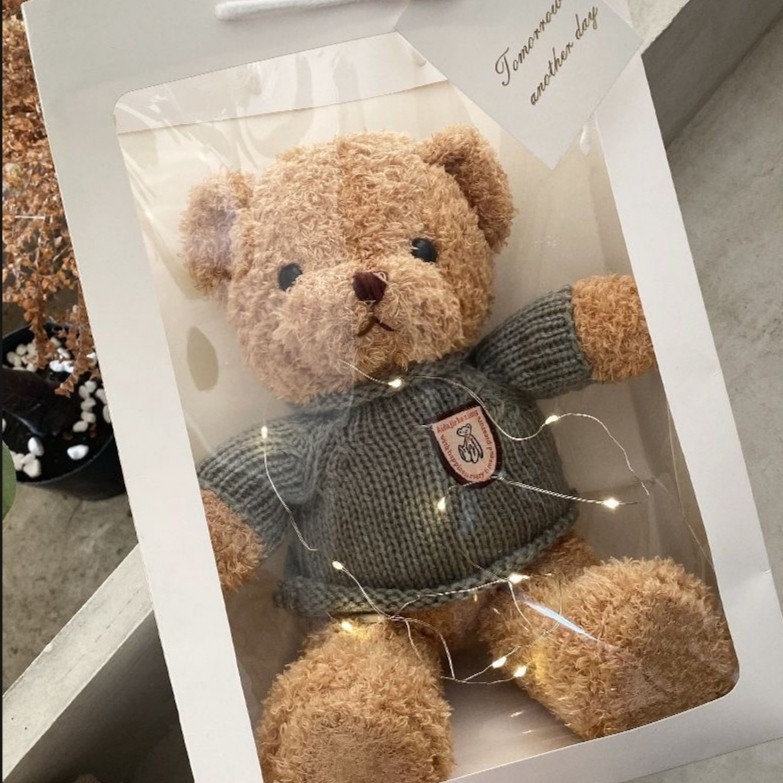 Teddy bear gift box